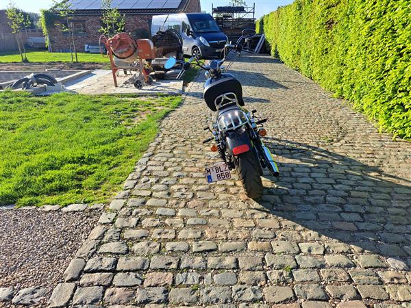 Grote foto harley davidson sportster 883 motoren harley davidson