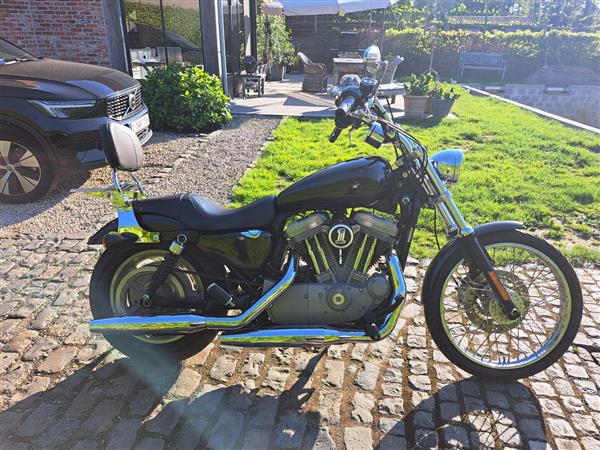 Grote foto harley davidson sportster 883 motoren harley davidson