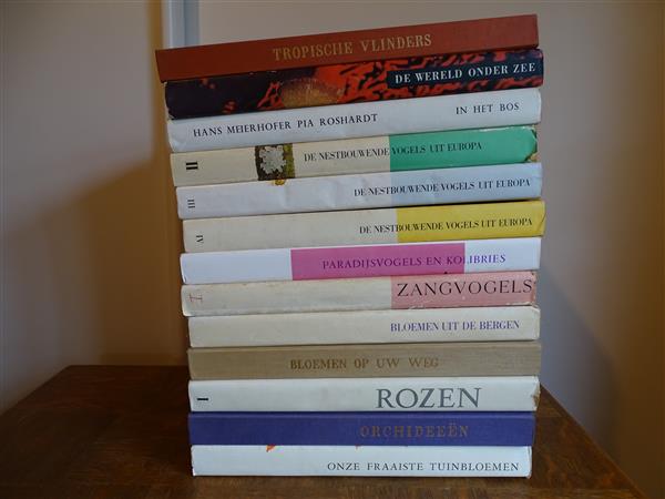 Grote foto gratis 160 artis historiaboeken verzamelen boeken en tijdschriften