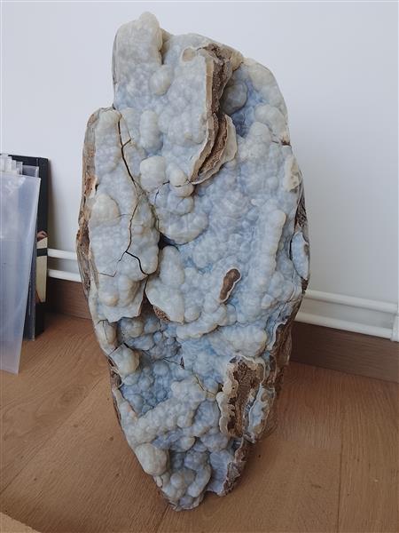 Grote foto botryoidale chalcedoon op versteend hout verzamelen mineralen en fossielen