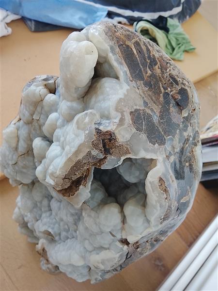 Grote foto botryoidale chalcedoon op versteend hout verzamelen mineralen en fossielen