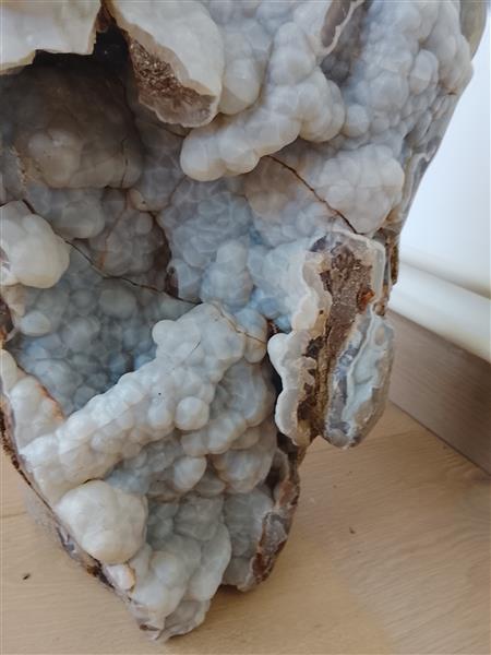 Grote foto botryoidale chalcedoon op versteend hout verzamelen mineralen en fossielen