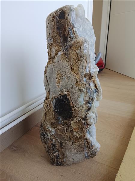 Grote foto botryoidale chalcedoon op versteend hout verzamelen mineralen en fossielen