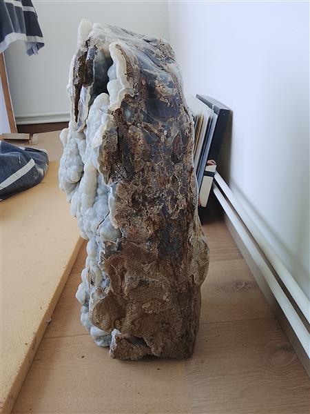 Grote foto botryoidale chalcedoon op versteend hout verzamelen mineralen en fossielen