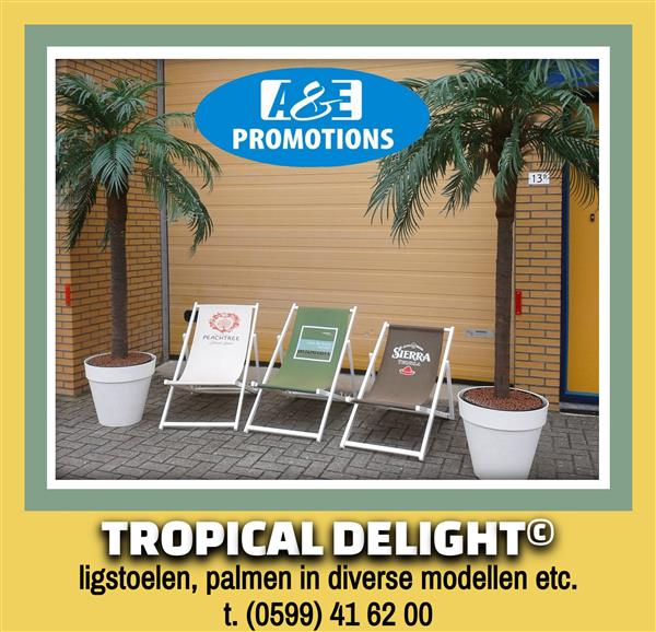 Grote foto tropical props verhuur palmbomen hawaii girls diensten en vakmensen spellen