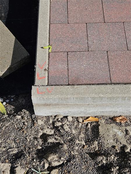 Grote foto blokhut vurenhout te koop met klinkers vloer tuin en terras tuinhuisjes en blokhutten