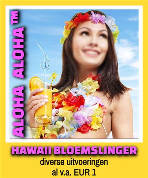 Grote foto verhuur hawaii aankleding tiki bar props verhuur diversen overige