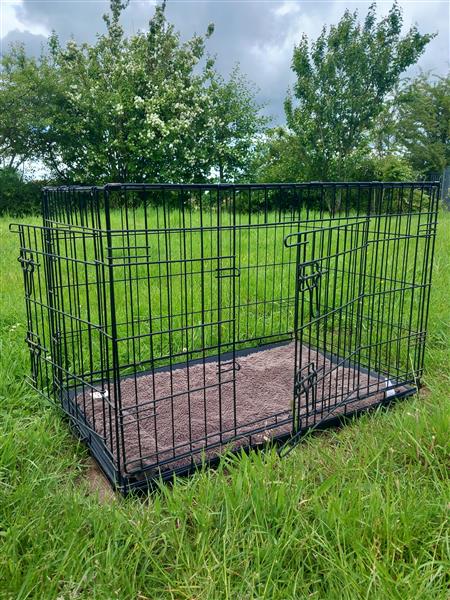 Grote foto benodigdheden voor middelgrote hond dieren en toebehoren toebehoren