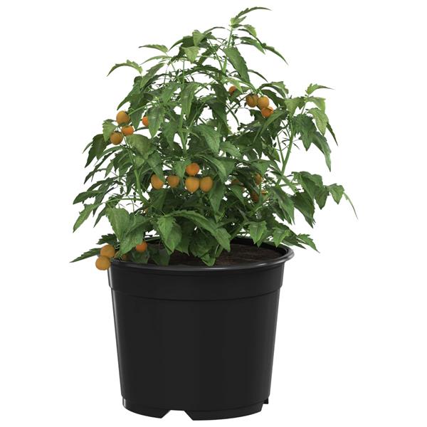 Grote foto vidaxl ronde bloempot 200 pcs zwart 10 x 8 cm kunststof tuin en terras overige tuin en terras