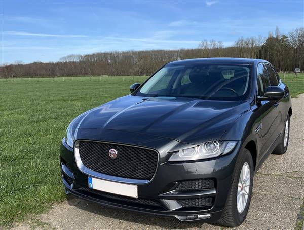 Grote foto topklasse luxueuze gezinswagen jaguar f pace auto jaguar