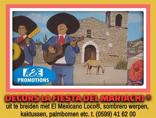 Grote foto verhuur mexico attracties friesland leeuwarden diversen overige