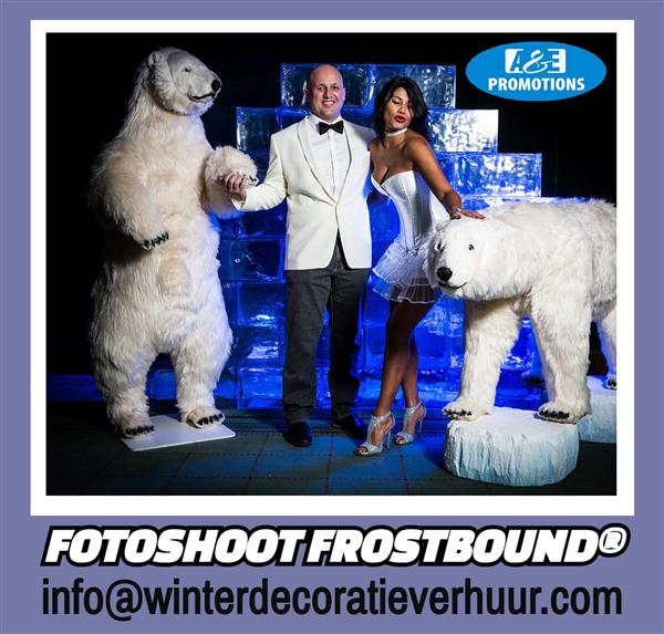 Grote foto ice edition winter aankleding verhuur luik diensten en vakmensen entertainment