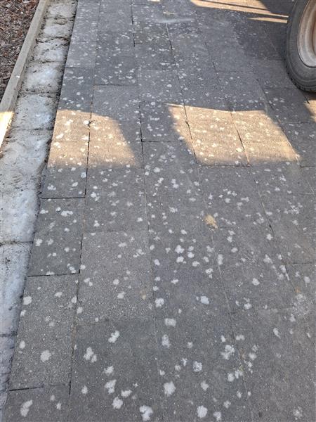 Grote foto betonklinkers tuin en terras tegels en terrasdelen
