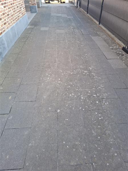 Grote foto betonklinkers tuin en terras tegels en terrasdelen