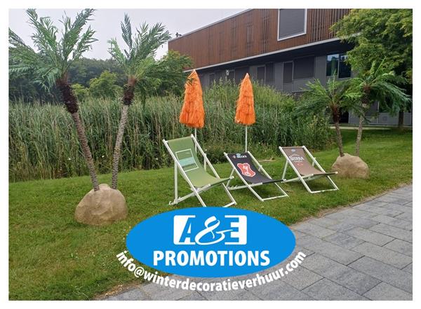 Grote foto groningen palmbomen decoratie verhuur ligstoelen diversen versiering