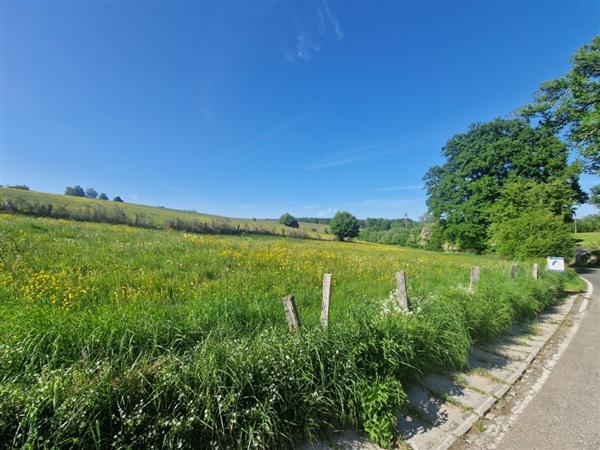 Grote foto semois les hayons grond 1ha 44a 66ca. huizen en kamers grondkavels
