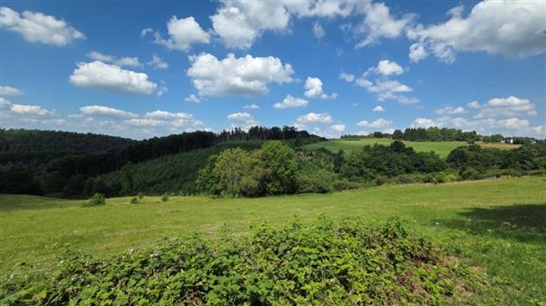 Grote foto erezee ardennen bouwgrond 10a 13ca. huizen en kamers grondkavels