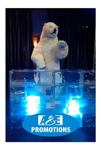 Grote foto ijsbeer props verhuur frozen items aalsmeer hobby en vrije tijd feestartikelen verhuur