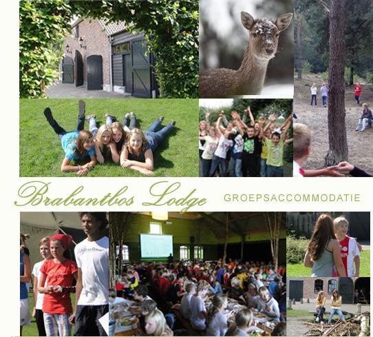 Grote foto schoolkamp in groepsaccommodatie nederland vakantie kinderen en jeugd