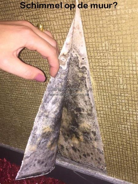 Grote foto optrekkend vocht oplossen doe het zelf en verbouw overige doe het zelf en verbouw