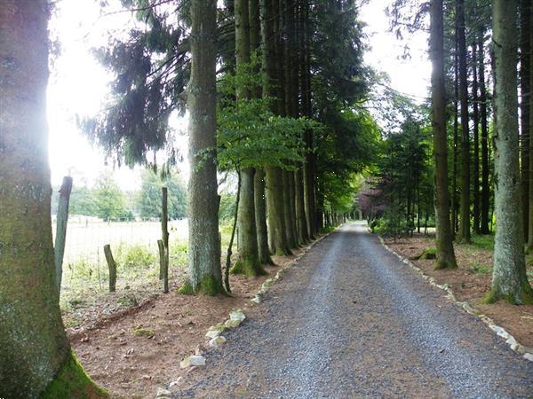 Grote foto landhuis voor 10p met jacuzzi en sauna vakantie belgi