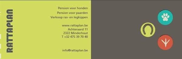 Grote foto hondenpension dieren en toebehoren oppas