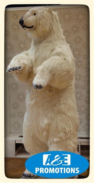 Grote foto bewegende ijsbeer huren rotterdam den haag delft diensten en vakmensen kerst