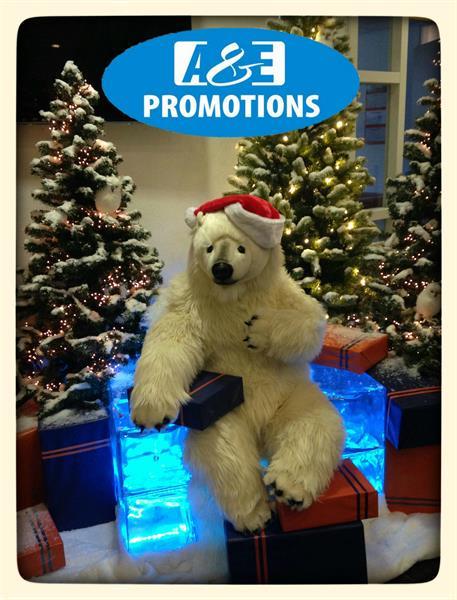Grote foto verhuur ijsschots en ijsbeer brussel antwerpen diensten en vakmensen kerst