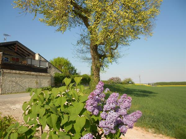 Grote foto landelijk gelegen te indre et loire vrij uitzicht vakantie frankrijk