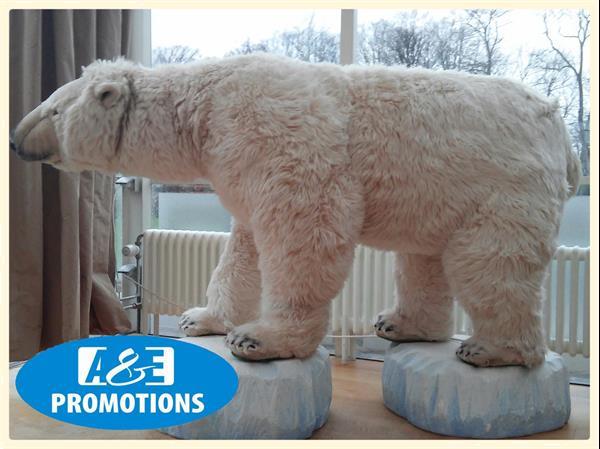 Grote foto prachtige ijsberen vitrinefiguren verhuur brabant diensten en vakmensen bedrijfsuitjes