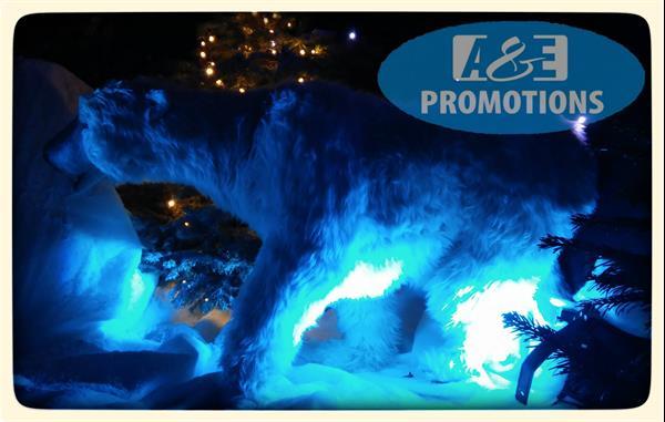 Grote foto winterfeest artikelen berghut eland verhuur gent hobby en vrije tijd evenementen