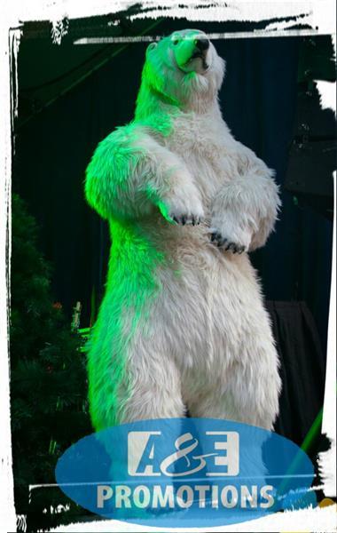 Grote foto huren ijsbeer decoratie breda tilburg brabant diensten en vakmensen kerst