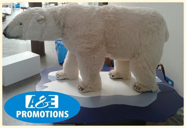 Grote foto huren ijsbeer decoratie breda tilburg brabant diensten en vakmensen kerst