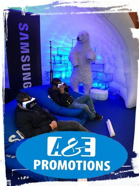Grote foto winterfoto hoek verhuur ijsbeer bewegend brugge audio tv en foto overige audio tv en foto