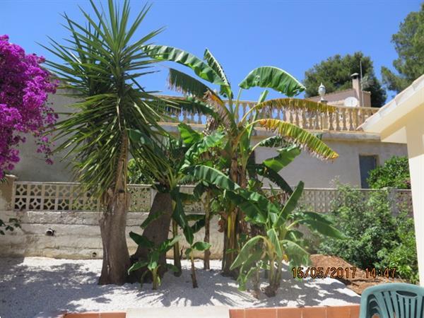 Grote foto spanje moraira c.blanca villa met zwembad vakantie spaanse kust