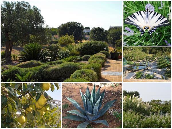 Grote foto villa lavanda logeren bij nederlanders in puglia vakantie italie