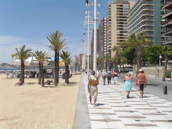 Grote foto benidorm vakantieappartementen 2021 2022 vakantie spaanse kust