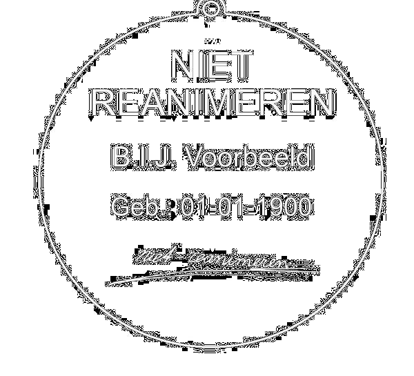 Grote foto niet reanimeren penning sieraden tassen en uiterlijk bedels en hangers