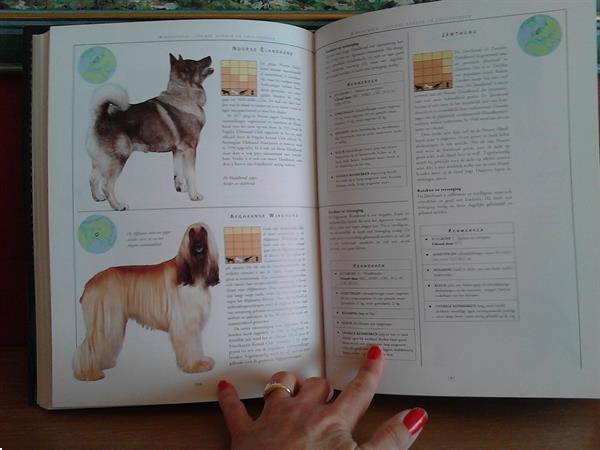 Grote foto boek hondenrassen boeken dieren en huisdieren
