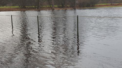 Grote foto kunststof weide palen romoga dieren en toebehoren stalling en weidegang