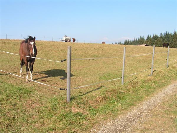 Grote foto kunststof weide palen romoga dieren en toebehoren stalling en weidegang