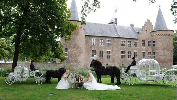 Grote foto trouwkoets huren dieren en toebehoren rijtuigen en koetsen