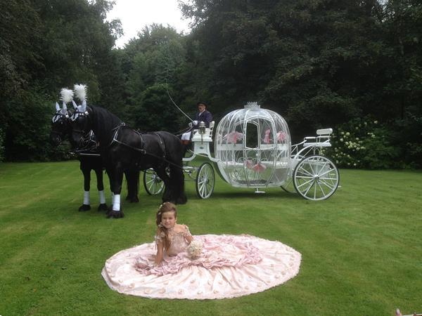 Grote foto trouwkoets huren dieren en toebehoren rijtuigen en koetsen