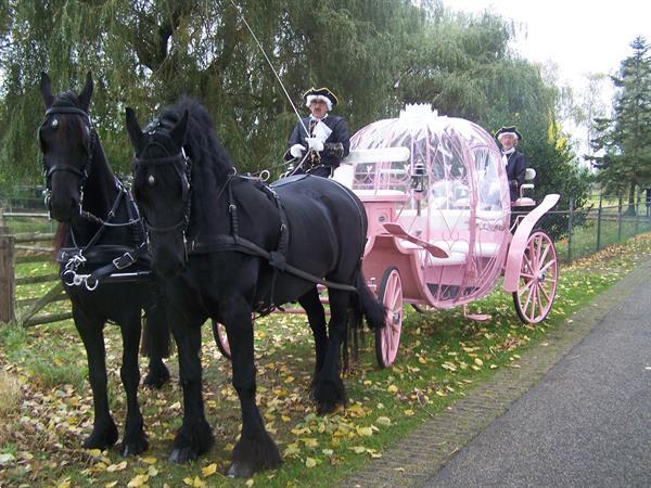 Grote foto trouwkoets huren dieren en toebehoren rijtuigen en koetsen