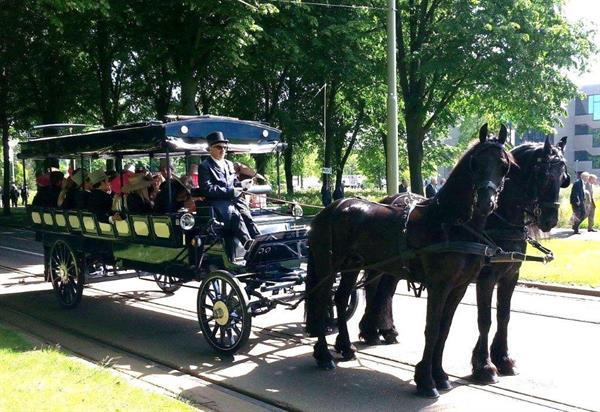 Grote foto trouwkoets huren dieren en toebehoren rijtuigen en koetsen