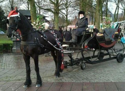 Grote foto trouwkoets huren dieren en toebehoren rijtuigen en koetsen