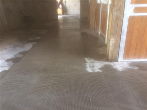 Grote foto opruwen gladde roosters en betonvloeren agrarisch landbouw