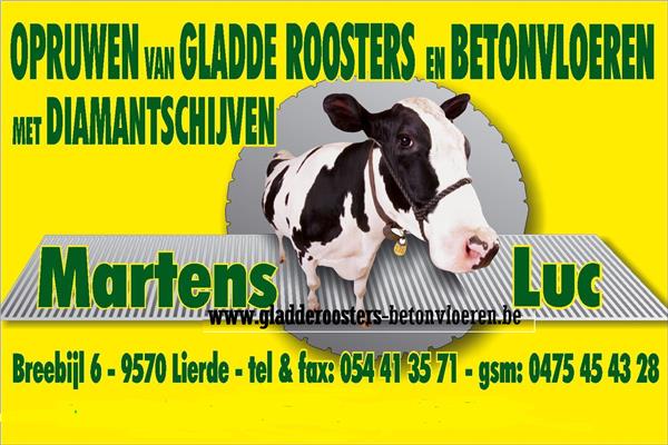 Grote foto gladde roosters en gladde beton dieren en toebehoren vee toebehoren