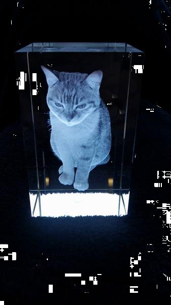 Grote foto de mooiste foto van uw kat in 3d driedimensionaal dieren en toebehoren katten accessoires