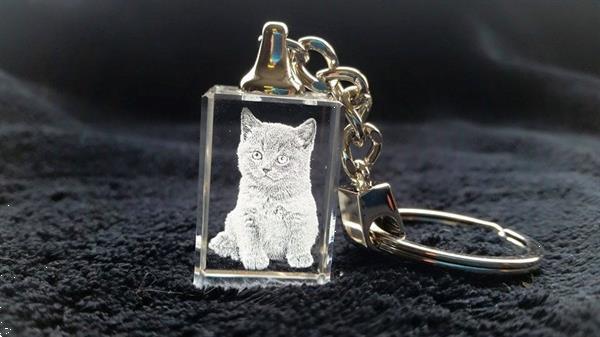 Grote foto de mooiste foto van uw kat in 3d driedimensionaal dieren en toebehoren katten accessoires